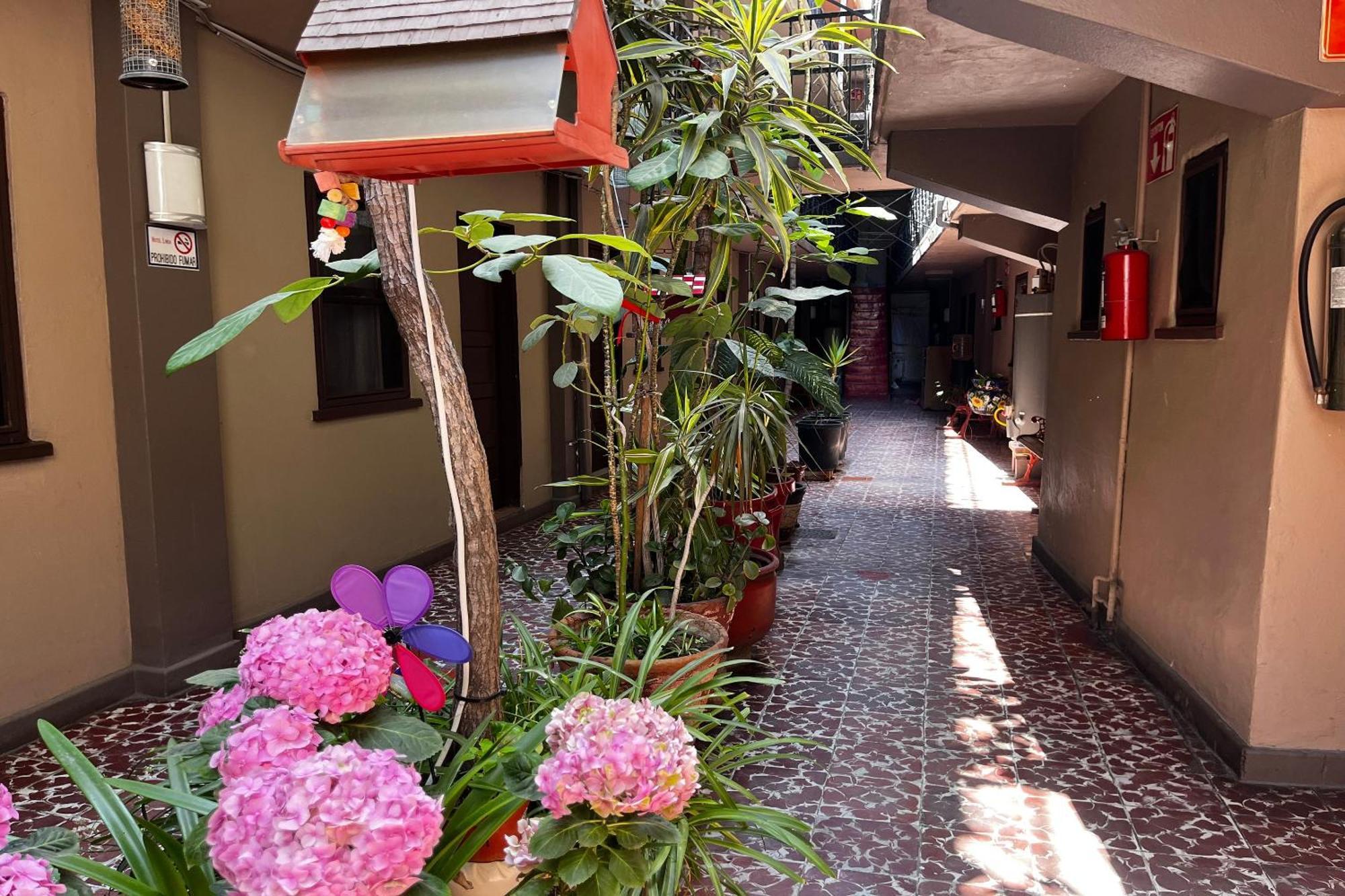 Oyo Hotel Linda 티후아나 외부 사진